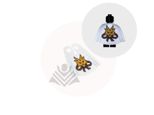 OG Ninja Master Wu cape